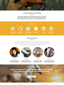 WordPress - WP2707