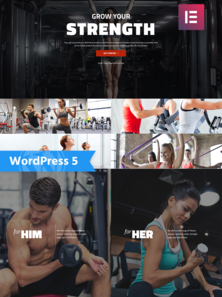 WordPress - WP4479