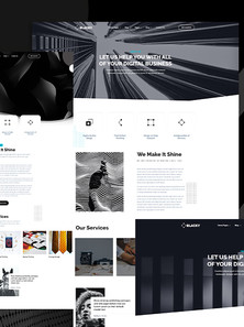 WordPress - WP17303