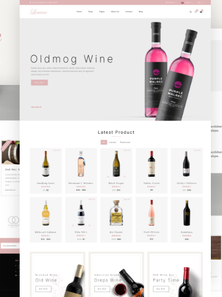 WordPress WooCommerce - W1306