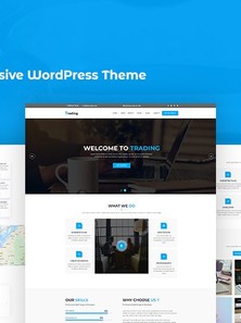 WordPress - WP18060