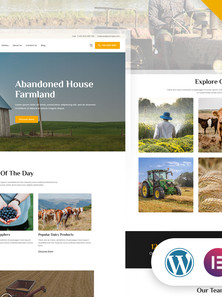 WordPress - WP18802